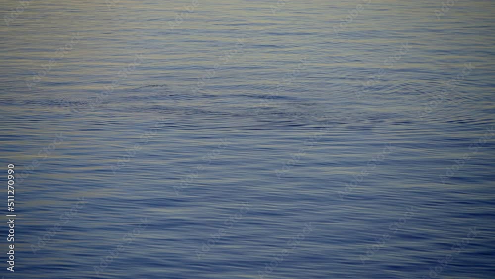 High Angle Full Frame Shot Of Rippled Sea Water - Antarctic Peninsula, Antarctica High Angle Full Frame Shot Of Rippled Sea Water - Antarctic Peninsula, Antarctica