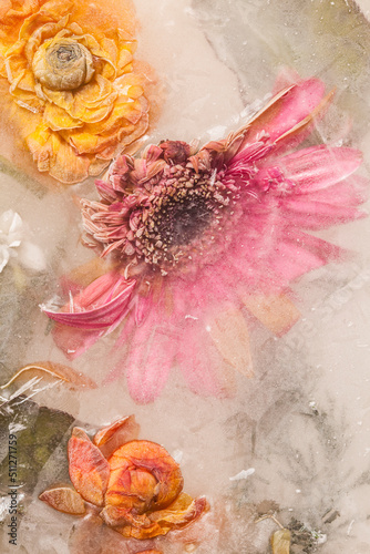 still life with flowers and ice