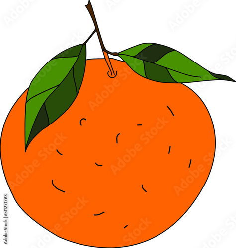 Cute Tangerine on a white background