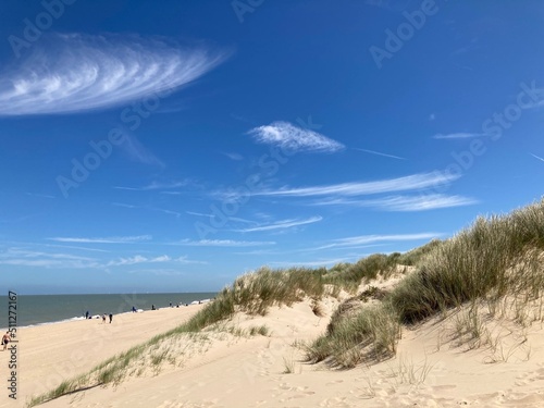 Sommerliche Dünenlandschaft an der Nordseeküste mit Sand und Strandhafer vor blauem Himmel mit Cyrruswolken bei de Haan, Belgien