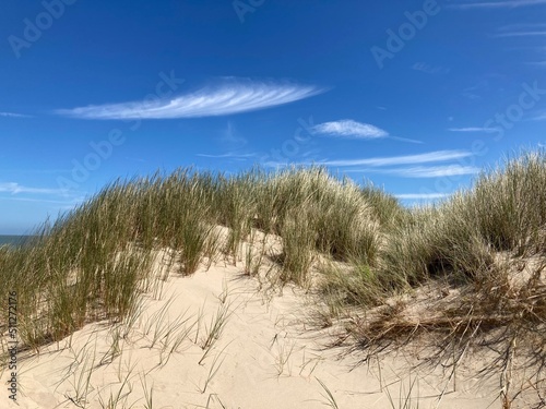 Fototapeta Naklejka Na Ścianę i Meble -  Sommerliche Dünenlandschaft an der Nordseeküste mit Sand und Strandhafer vor blauem Himmel mit Cyrruswolken bei de Haan, Belgien
