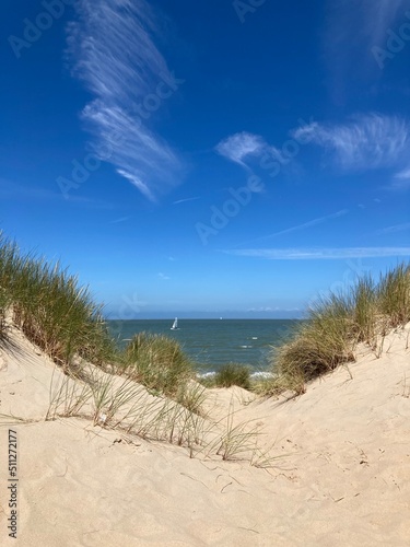 Sommerliche D  nenlandschaft an der Nordseek  ste mit Sand und Strandhafer vor blauem Himmel mit Cyrruswolken bei de Haan  Belgien