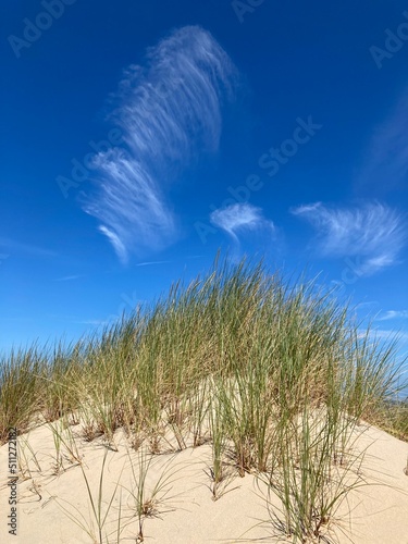 Sommerliche Dünenlandschaft an der Nordseeküste mit Sand und Strandhafer vor blauem Himmel mit Cyrruswolken bei de Haan, Belgien photo