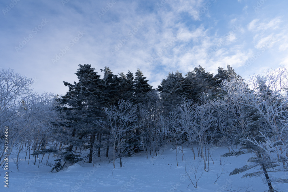 custom made wallpaper toronto digital四阿山 冬 登山