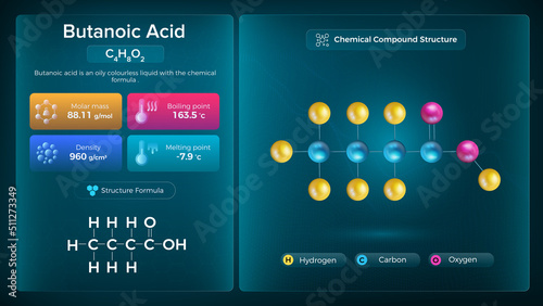Butanoic Acid Properties and Chemical Compound Structure -  Vector Design