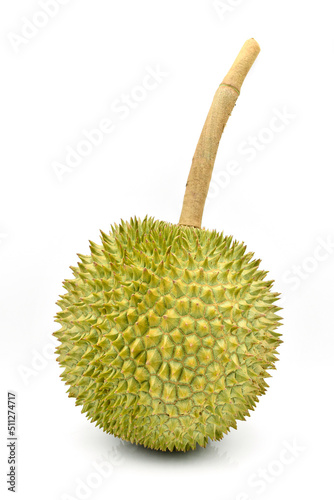 Durian fruits on white background. photo