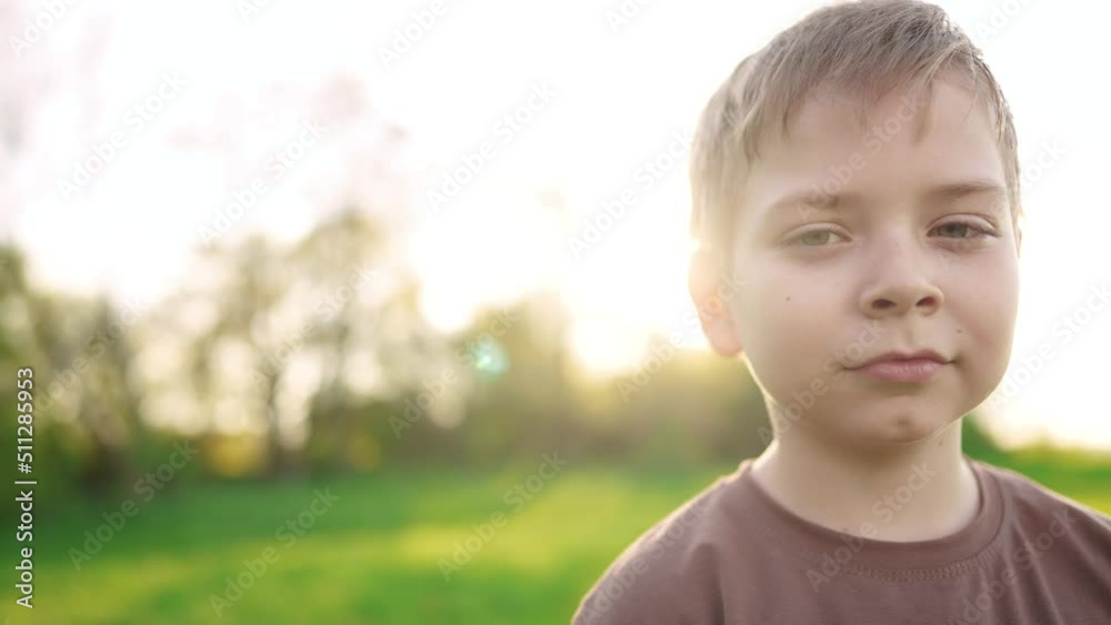 little boy outdoor portrait. lifestyle happy family kid a dream concept. child close-up in the park in nature looking to the side. boy kid portrait in the background grass park forest little boy outdoor portrait. lifestyle happy family kid a dream concept. child close-up in the park in nature looking to the side. boy kid portrait in the background grass park forest