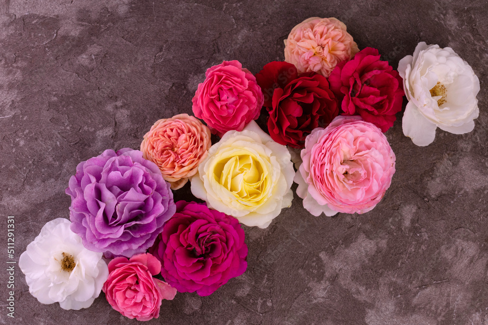 Flowers of roses of different colors on a gray background. Flat lay.
Flowers of roses of different colors on a gray background. Flat lay.