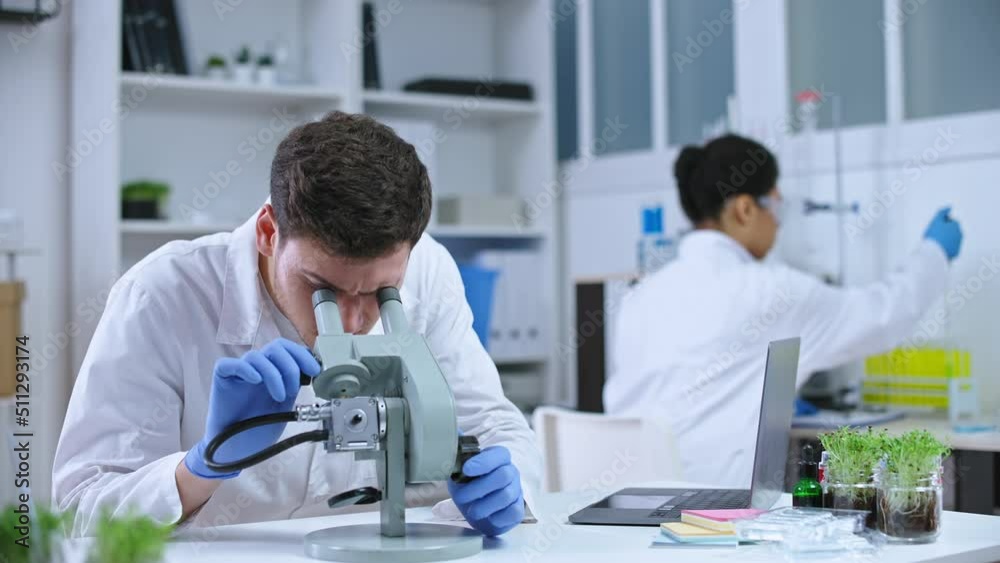 Male scientist working in plant breeding lab, using microscope and computer Male scientist working in plant breeding lab, using microscope and computer