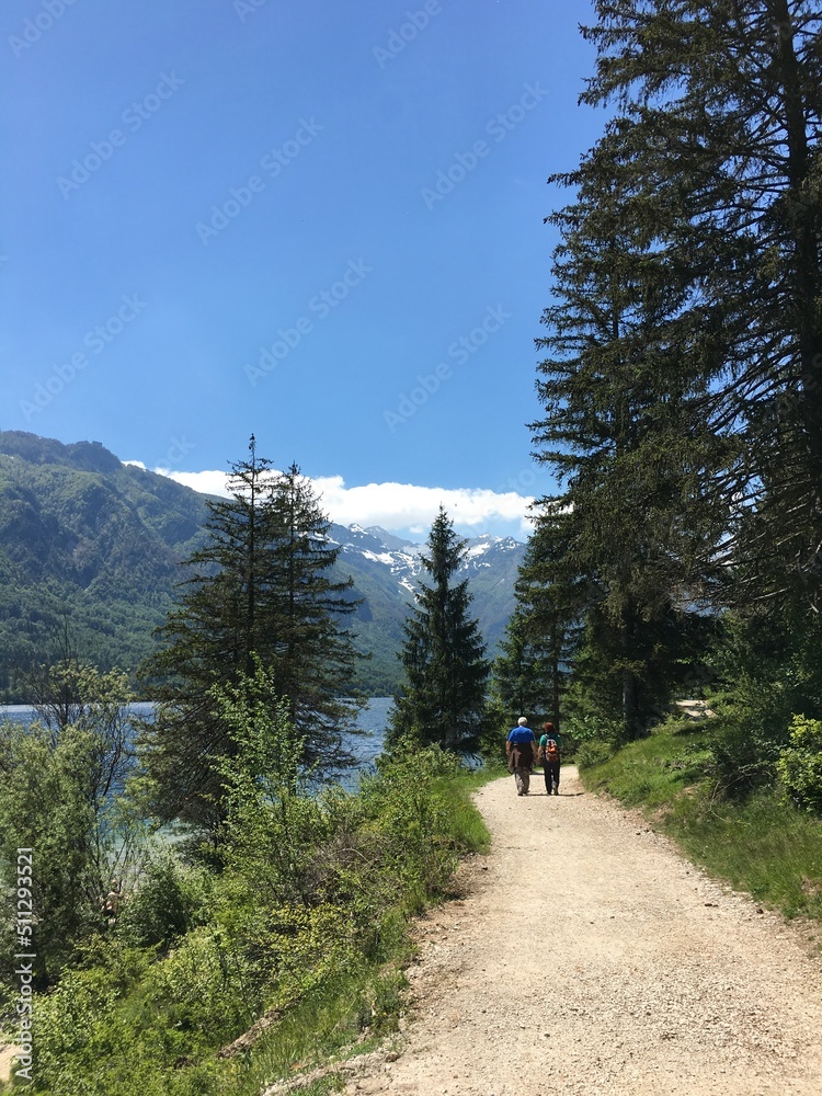 The people are walking thorough the walking trail around Lake Bohinj among the forests and with a view of the mountains of the Triglav Park.