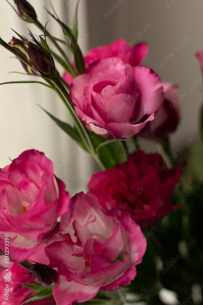 Fototapeta premium beauty bouquet in vase, pink eustoma