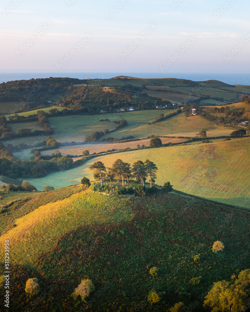 Colmer's Hill Dorset. Beautiful sunlight cast on a hill with trees on top in the English countryside.   Rolling Hills