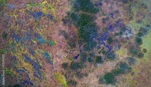 Aerial view of Pokljuka forest and meadows