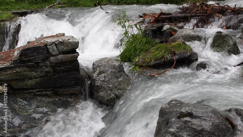 Mountain river flowing through the green forest. Swiss Alps, crystal clear glacial water, mountain spring.