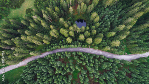 Aerial view of Pokljuka forest and meadows