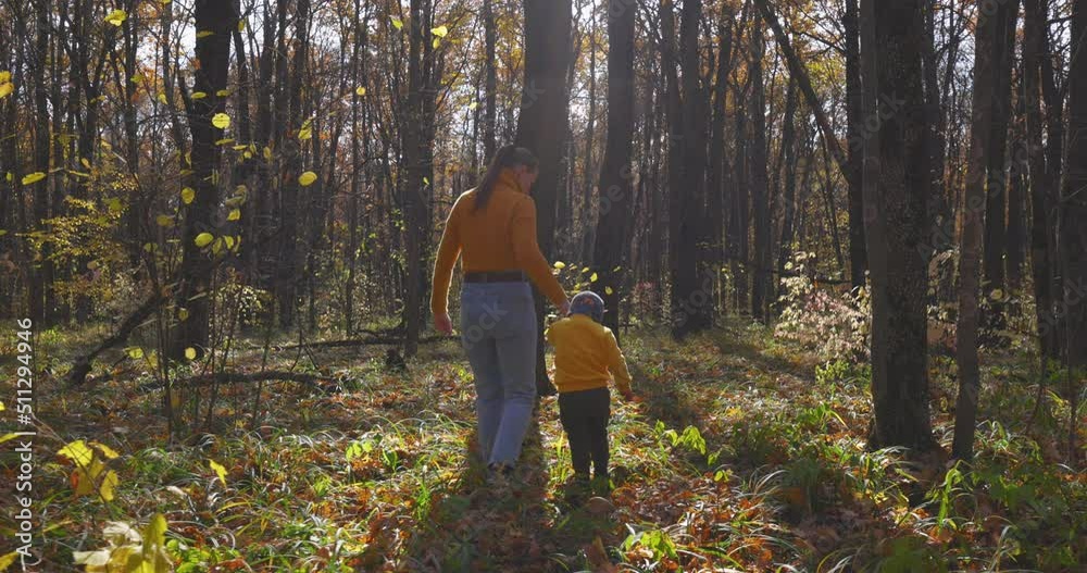 Happy Family. Small Caucasian Kid and his Mom Walking in an Autumn Forest by the Yellow Fallen Leaves, in the Rays of Sunlight in Slow motion. Activity Lifestyle in Children and their Parents. Happy Family. Small Caucasian Kid and his Mom Walking in an Autumn Forest by the Yellow Fallen Leaves, in the Rays of Sunlight in Slow motion. Activity Lifestyle in Children and their Parents.