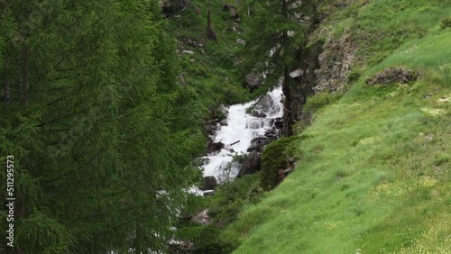 Mountain river flowing through the green forest. Swiss Alps, crystal clear glacial water, mountain spring.