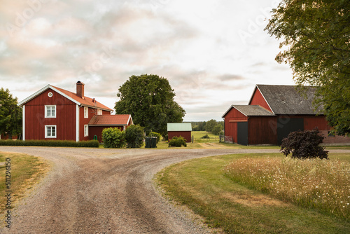 Falun red farm in rural landscape photo