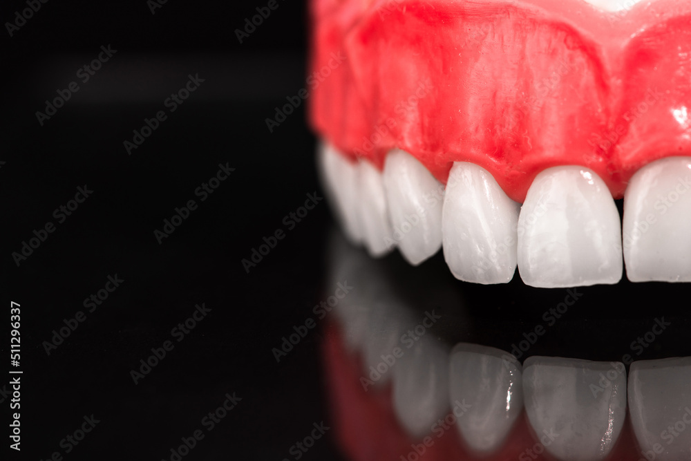 Obraz premium Lower human jaw with teeth anatomy model isolated on black background. Healthy teeth, dental care and orthodontic medical concept.