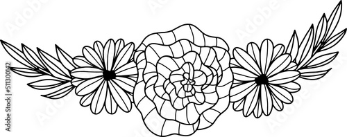 collection forest fern eucalyptus art foliage natural
leaves herbs inline style. Decorative beauty, elegant illustration 
Vector Flower Botanical