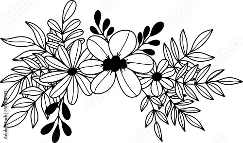 collection forest fern eucalyptus art foliage natural
leaves herbs inline style. Decorative beauty, elegant illustration 
Vector Flower Botanical