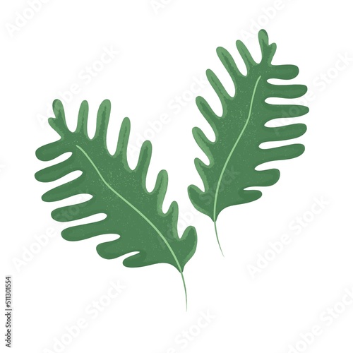 Rucola Hand drawn green garden leafy vegetable. Green Healthy veggie food textured. Ruccola herbs seasoning vector illustration of rugula isolated on white background