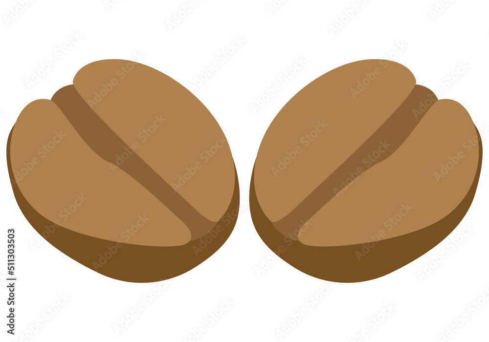 Grano de cacao y café en fondo blanco. Grano de cacao y café en fondo blanco.