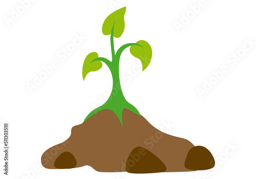 Brote de una planta en un trozo de tierra.