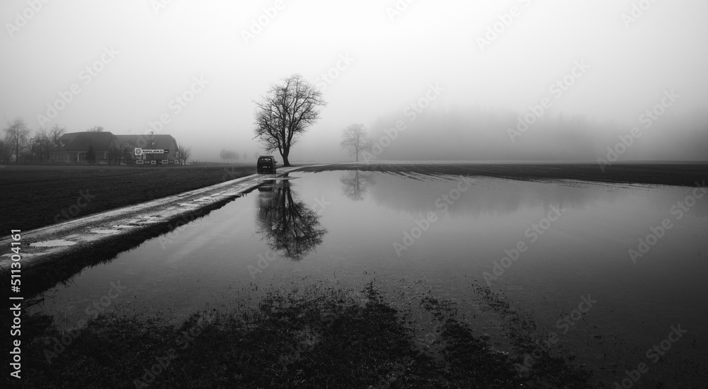 Fototapeta premium Swampy fields in the country