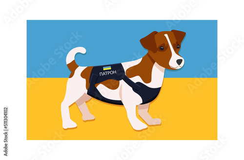 Ukrainian police dog Patron (Патрон) in uniform with Ukrainian flag. Jack russell terrier service dog.