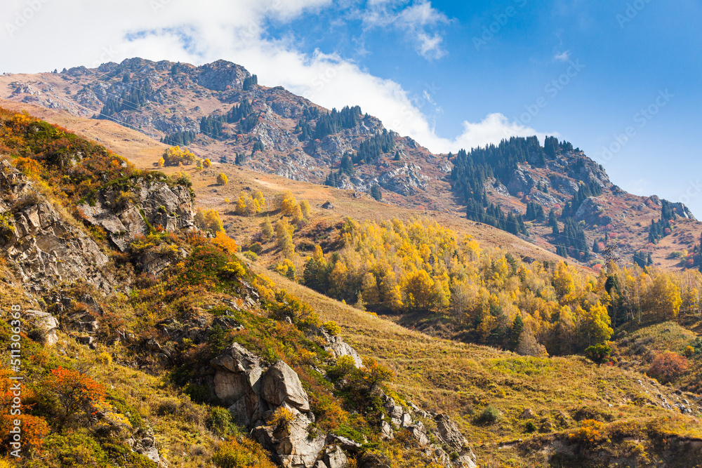 Golden autumn mixed forest (fir-trees, birches, pines) on hills in the Zailiyskiy Alatau Mountains, Tien Shan mountain system in Kazakhstan..Big Almaty Gorge