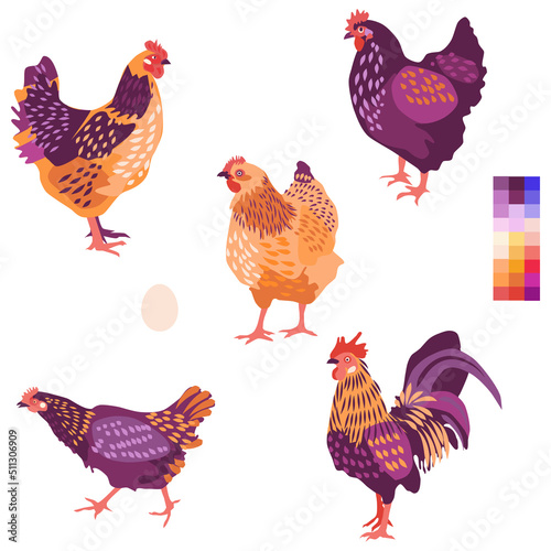 Set of different race of chicken,  rooster and egg. Vector illustration. Limited color palette. Can be used for fabric design. 