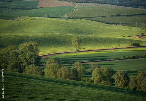 South Moravia Landscape on a beautiful day
