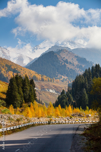 Road to the Big Almaty Lake. Golden autumn mixed forest (fir-trees, birches, pines) on hills in the Zailiyskiy Alatau Mountains, Tien Shan mountain system in Kazakhstan..Big Almaty Gorge