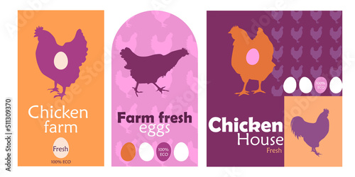 Branding  identity for Chicken product. Different design for label, logo, brand colors. Chicken house Brand hen. Vector graphic design elements. 