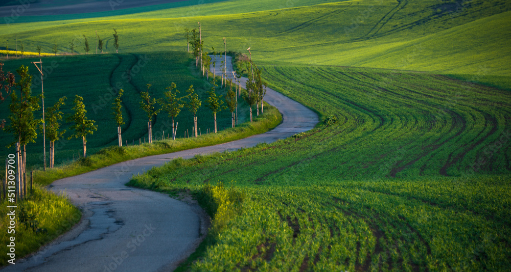 Typical road in South Moravia