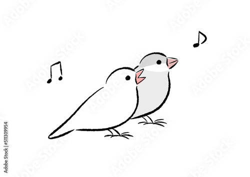 幼鳥