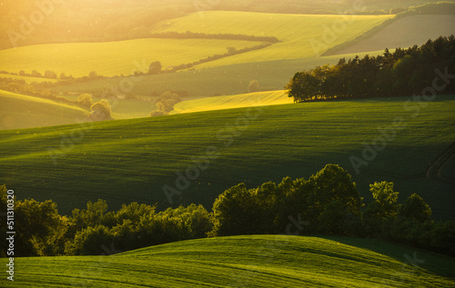 Magical sunset in South Moravia farmland