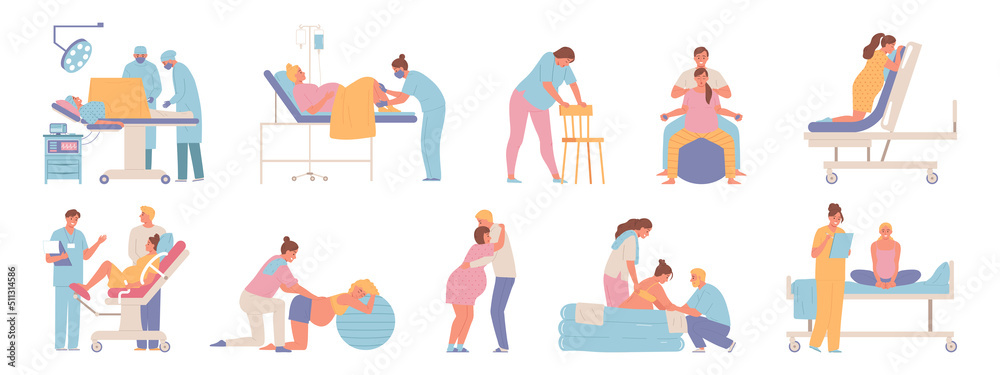 Pregnancy and Childbirth Set Pregnancy and Childbirth Set