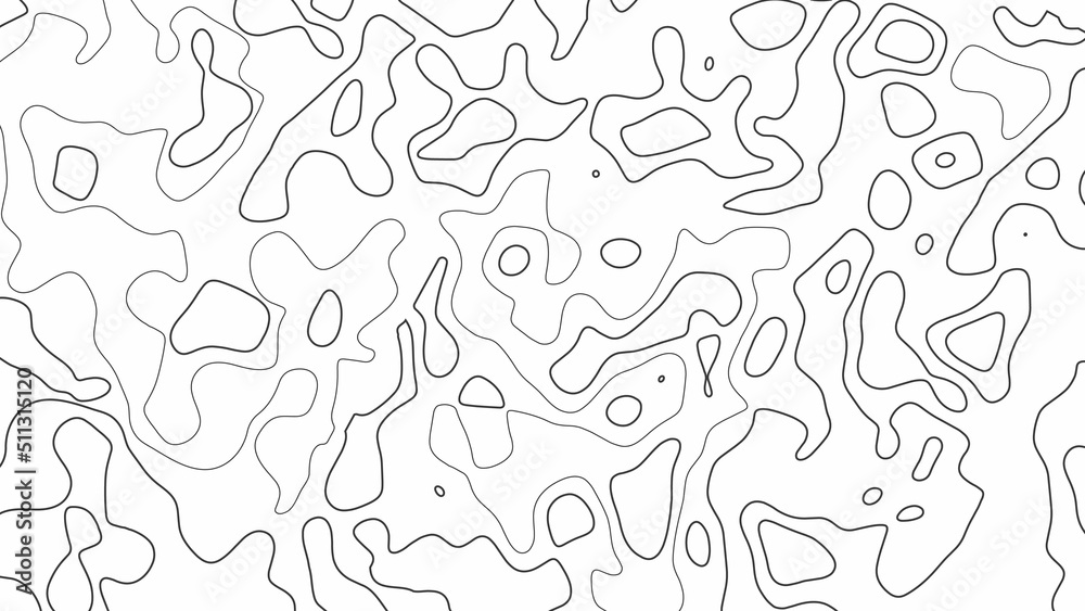 Topographic Line Pattern in Black and White. Topographic map seamless pattern. Monochrome background with abstract shapes.