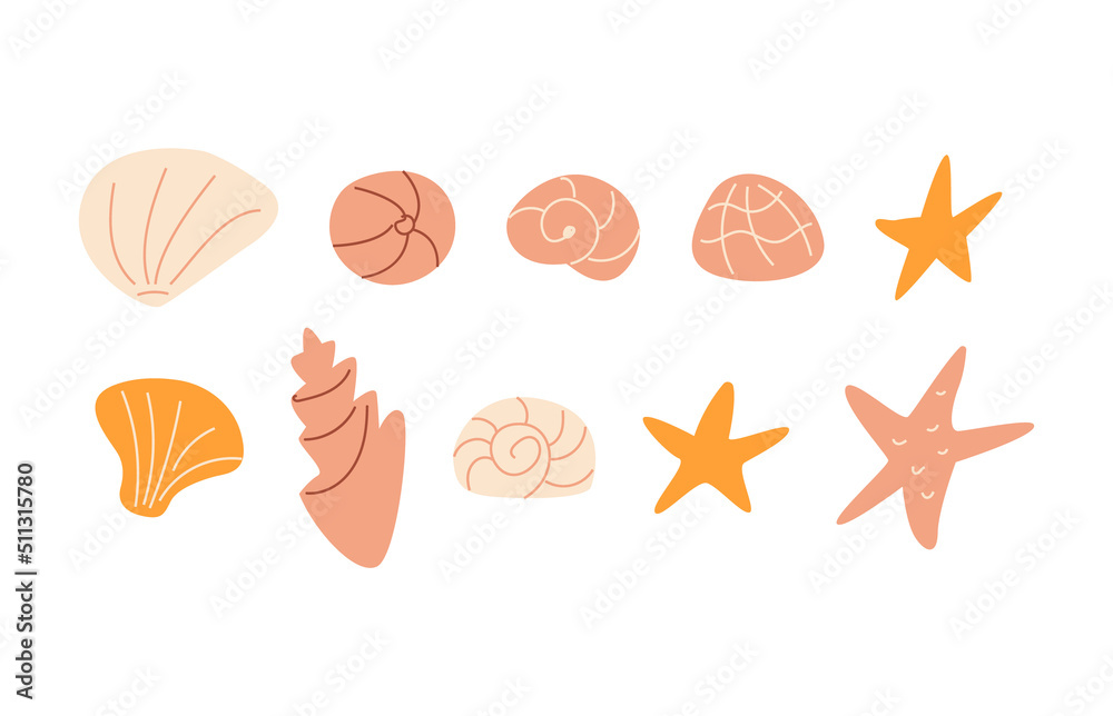 Set of cute ocean seashells and starfish. Vector illustration on isolated background. Underwater mollusk animals. Set of cute ocean seashells and starfish. Vector illustration on isolated background. Underwater mollusk animals.