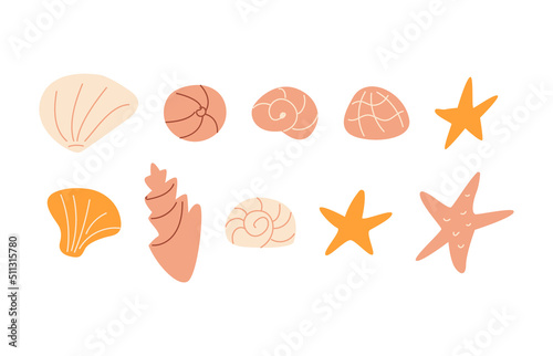 Set of cute ocean seashells and starfish. Vector illustration on isolated background. Underwater mollusk animals.