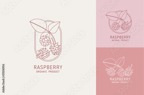 Vector illustration raspberries - vintage minimalist style. Logos set composition in retro botanical style.