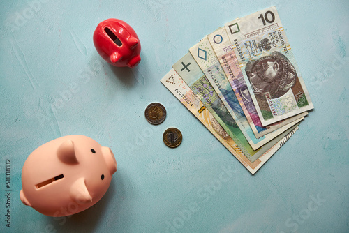 dwie świnki skarbonki  i polskie banknoty i monety 