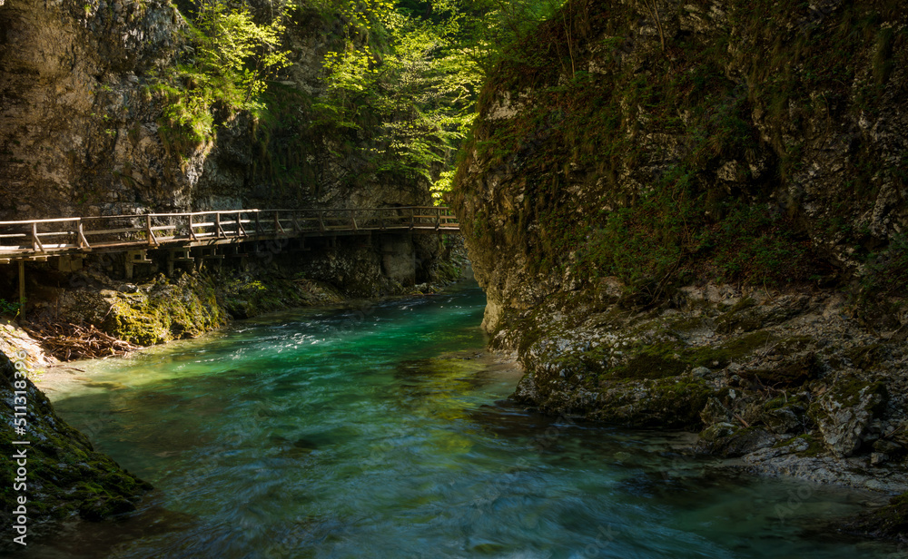 Fototapeta premium Spring in Vintgar Gorge in Slovenia