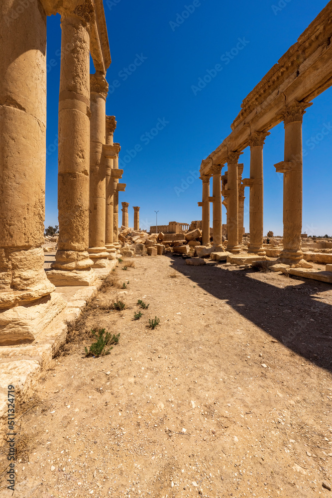 Great Colonnade of Palmyra, in Syria. Colonnade was also partly damaged by ISIL during Syrian civil war.