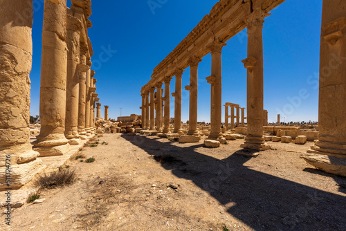 Great Colonnade of Palmyra, in Syria Fototapet