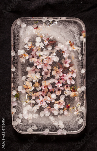 Frozen Flower