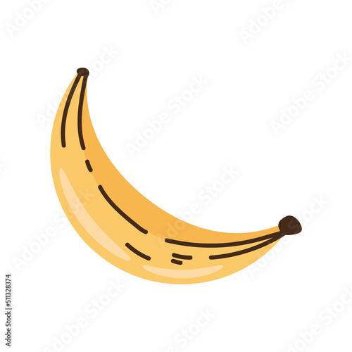fresh banana fruit