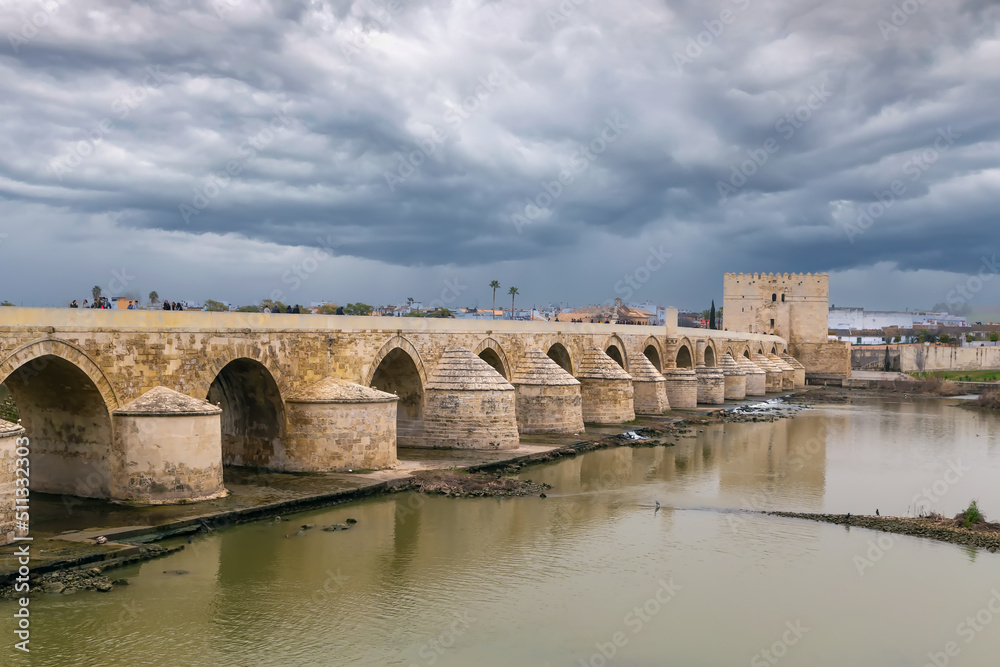 Roman bridge, Cordoba, Spain